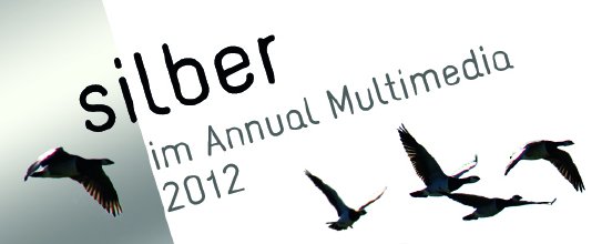 projekttriangle_annual_multimedia_award_2012.jpg