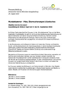PM Wunderkammer 2022.pdf