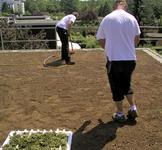 Dass Dachdecker nicht nur Ziegel auflegen, erfahren viele potenzielle Auszubildenden, wenn sie beispielsweise an der Gestaltung und Anlage von Gründächern mitwirken dürfen.