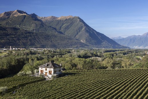 Web Version-Fattoria l'Amorosa-Copyright Fattoria l'Amorosa .jpg