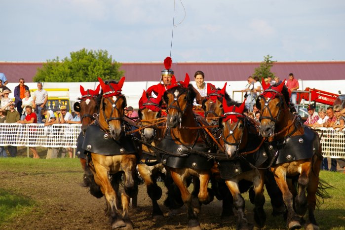 Römerwagen m. Jurnalistin2.jpg