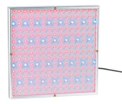 NX-6597_2_Lunartec_LED-Profi-Pflanzen-Wachstums-Beleuchtungsfeld_mit_225_LEDs.jpg
