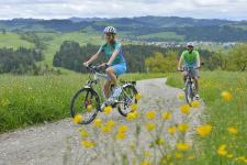 Für schmerzfreies Radfahren sind die richtige Auswahl und die individuelle Justage des Rades entscheidend. Es geht darum, mit Blick auf Ergonomie und Rücken für die individuellen Stärken und Schwächen des Radfahrers eine technische Entsprechung zu finden und passgenau einzustellen / Bild: www.pd-f.de / flyer