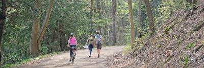 Der Wald ist ein wichtiger Erholungsort – nicht erst seit Beginn der Pandemie (Foto: FVA/Weidner)