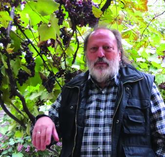 Rainer Kaufmann, BTMV