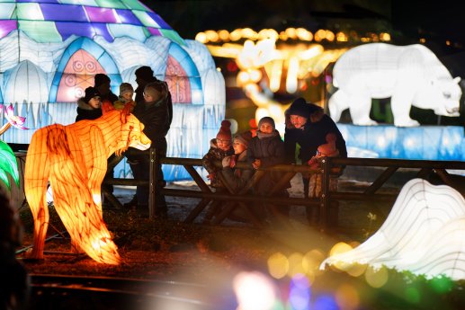 Wunderlight Kalkar © Wunderland Kalkar (1).jpg