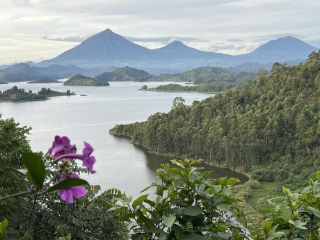 Virunga Vulkane (c) Claire Zaiser, Karawane.jpeg