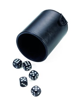 gam60bk-Würfel to go_Troika(1).jpg