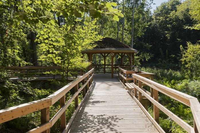 Kurwald Graal-Müritz (c) TuK GmbH Graal-Müritz, AP.jpg