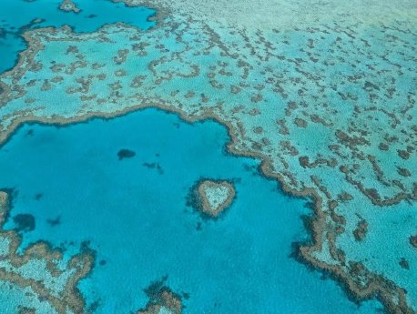 heart_reef_great_barrier_reef_bei_airlie_beach_whitsunday_islands.webp