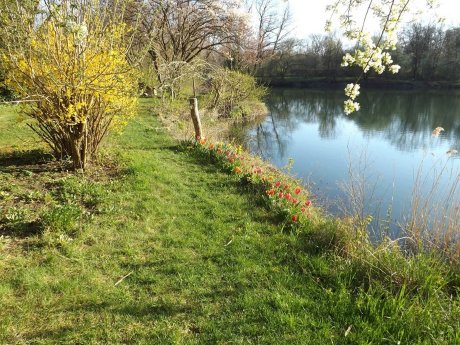 Seeufer Birkenried.jpg