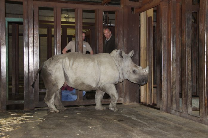 Ebun in Longleat mit Bartel und Keath Harris.JPG