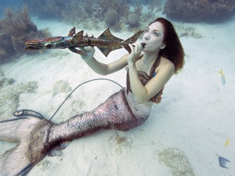 Meerjungfrau beim Underwater Music Festival (c) Bob Care Florida Keys News Bureau.jpg