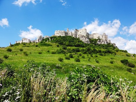 ZipserBurg.jpg