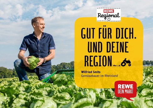 P66858_REWE_Regional_Bauern_2018_Rheinland_Salat_Wilfried_Smits_18_1_190618.jpg
