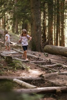 Aschbach Wald-Erlebnispfad - © Armin Terzer - WEB 230808160834.jpg