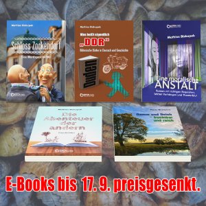 5 preisgesenkte E-Books