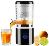 ZX 6903 01 Akku Mini Entsafter