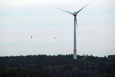 Windenergieanlage in Dahlem - Foto: Claudia Rapp-Lange