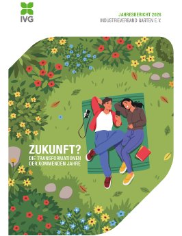 IVG Jahresbericht.png