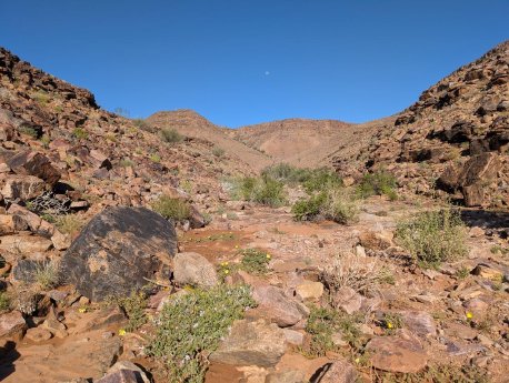 fish-river-lodge-wanderung.jpg