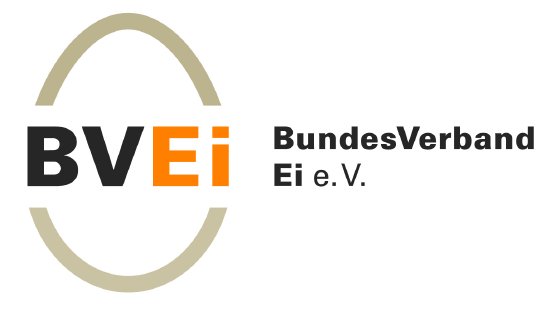 BVEi-Logo.jpg