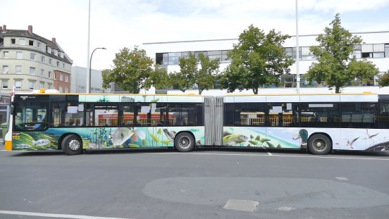 Graffiti-Bus.JPG
