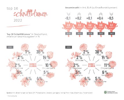 ZVG_Top10_2022_Schnittblumen.pdf