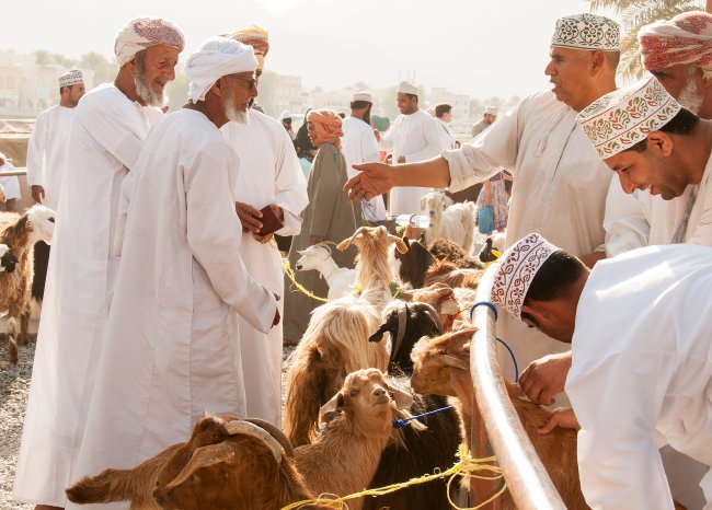 Oman_EliteTravelTourism_Nizwa_Friday_AnimalCattleMarket3.jpg