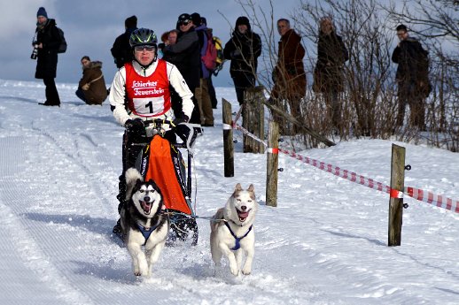 20260107_a_Schlittenhunde_ CopyrightSüss_2.jpg