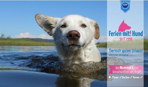 DU hat die Wahl unter mehr als 150.000 hundefreundliche Unterkünfte mit Hund in Europa. Ob Ferienhaus, Ferienwohnung oder Hotel! Dein Hund ist willkommen!