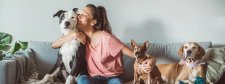 Frau kuschelt mit Hunden auf Sofa