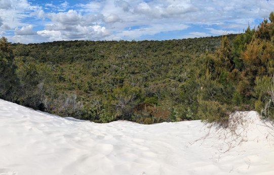 1_sandduene_auf_kgari_fraser_island.jpg