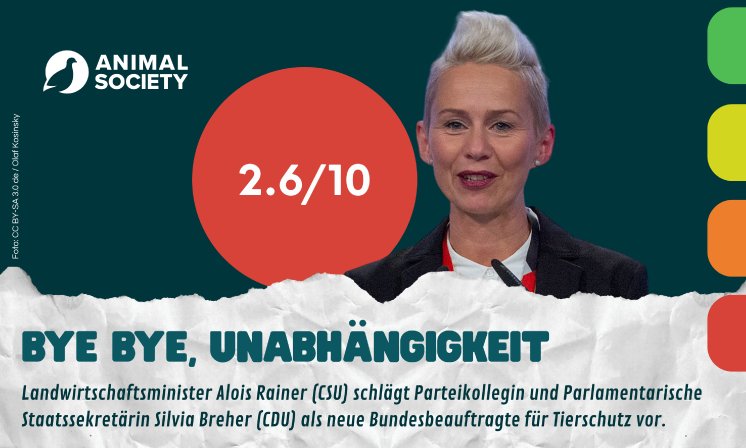 Pressemitteilungen (3).png