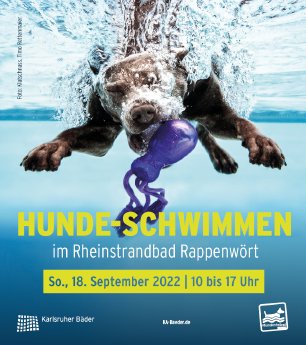 Presse_Hunde-Schwimmen.png