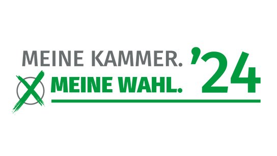 Vignette Wahl 2024_fin Kopie.jpg