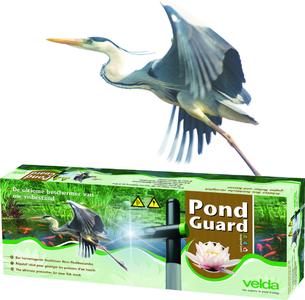 Pond Guard heron
