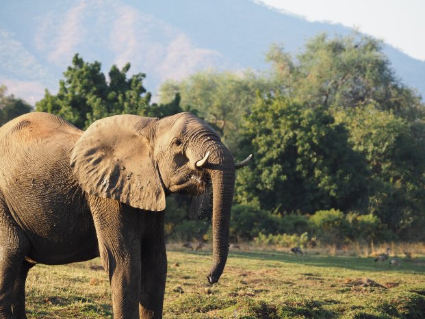 (c) Karawane, Hannah Blechschmidt (3).JPG