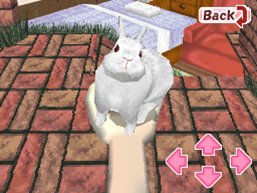 Bunnyz_CareHolding.png