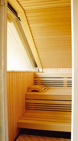 bemberg-sauna-mit-dachschra.jpg