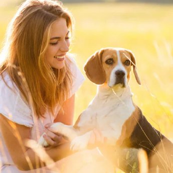 blog-emmi-pet-haustier-mit-sonnenhut-sonnenschutzmittel-fuer-tiere-haustier-im-schatten-sonnens.webp