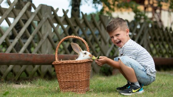 d9i97pdmldw7bwyxvbtmn3