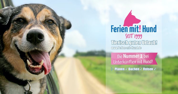 Die Sommerferien 2024 Mit Dem Hund Genie en Von Anfang An Ferien Mit 