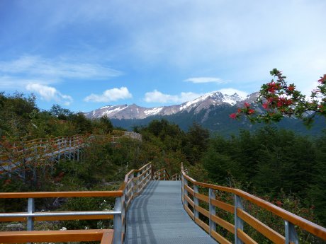 130-Perito Moreno (c) K.-H. Milter, Karawane.JPG