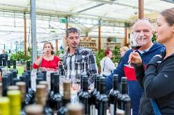 WeinEntdecker-Wochen 2013 ein voller Erfolg