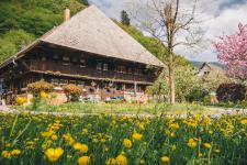 Schwarzwaldhaus im Wiesental