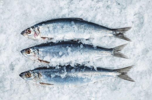 Heringe auf Eis_(c) Friesenkrone Feinkost.jpg