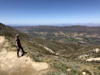 In Südafrika ist die Inzidenz zurzeit niedriger als hierzulande. Im November starten die ersten Wikinger-Gruppen Richtung Kapstadt (Foto).