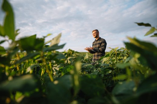 Meatless farmer in field shutterstock_1470523241 (Large).jpg