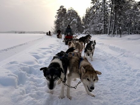 Lappland_Hundeschlitten_Boomerang_quer-1200x0.jpg